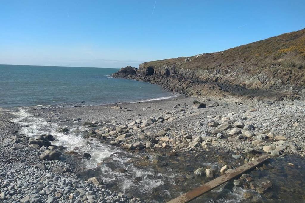 Cattle Shed Cottage Narberth Εξωτερικό φωτογραφία