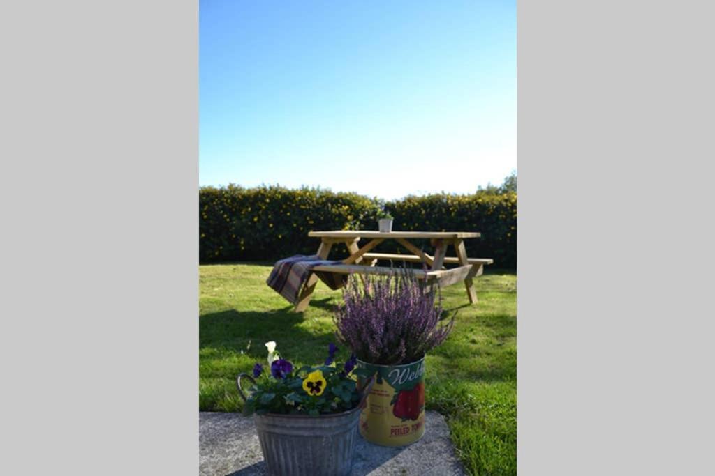 Cattle Shed Cottage Narberth Εξωτερικό φωτογραφία